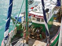 Douarnenez  P'tit Mousse à quai dans le port de Rosmeur