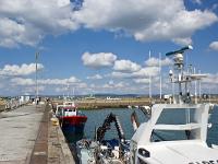 Douarnenez  Le port de pêche