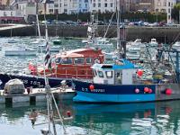Douarnenez  Le port de Rosmeur