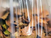 Visite de la ville de Gap (Hautes Alpes)  Les feuilles mortes se ramassent ... Dans des sacs plastique