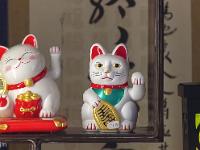 Visite de la ville de Gap (Hautes Alpes)  Dans une vitrine rue Perolière