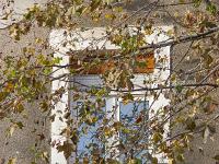 Visite de la ville de Gap (Hautes Alpes)  Fenêtre Bd de la Libération
