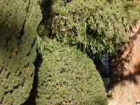 Gap  Dans le Parc de la Pépinière