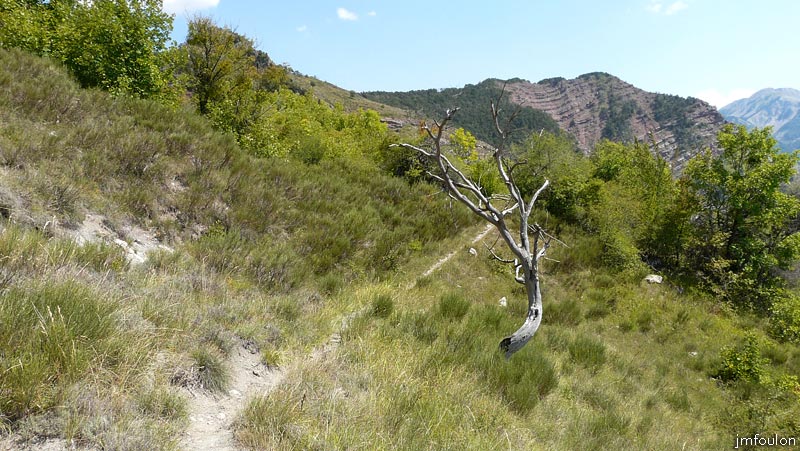 castellas-21web.jpg - Du même endroit mais vu vers l'Est. A droite, la Crête de la Colle  (1363 m)