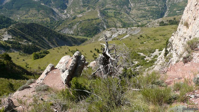 castellas-41web.jpg - Vue vers le Sud en gravissant cette montagne. En bas la Casse, et au centre au second plan au dessus de l'arbre mort, la butte ou se trouvait le château de Reynier. Derrière cette butte se trouve le village