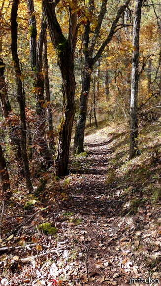 aqueduc-sagnieres-12web.jpg - Nous allons maintenant longer le ravin sur environ 1,5 Km avant d'arriver à l'aqueduc