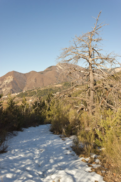 st-amand-07web.jpg - Le sentier est en parti enneigé