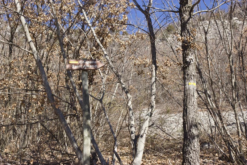 st-amand-13web.jpg - Panneau indicateur sur le sentier au niveau de la piste de Bois Briançon que l'on traverse. Nous continuons notre ascension plein Est