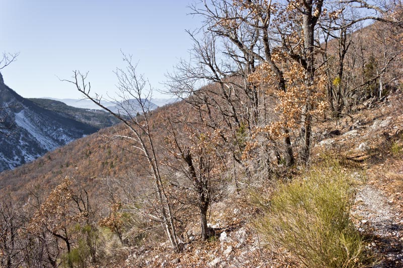 st-amand-16web.jpg - Vue vers l'Ouest et le chemin parcouru