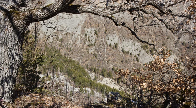 st-amand-17web.jpg - Vue sur le Ravin de la Combe depuis le sentier