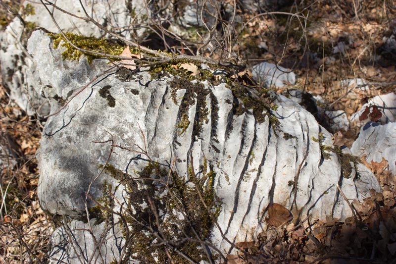 st-amand-23web.jpg - On trouve ici de curieuses pierres striées