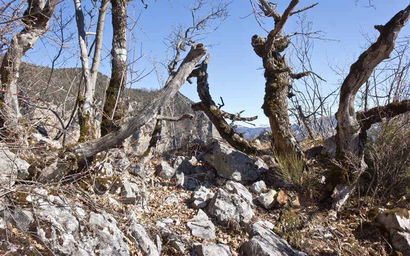 st-amand-24web.jpg - Sur le sentier