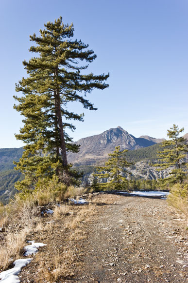 st-amand-41web.jpg - Sur la piste. Au loin, le sommet de Bramefan ou Colle des Graves (1659 m)