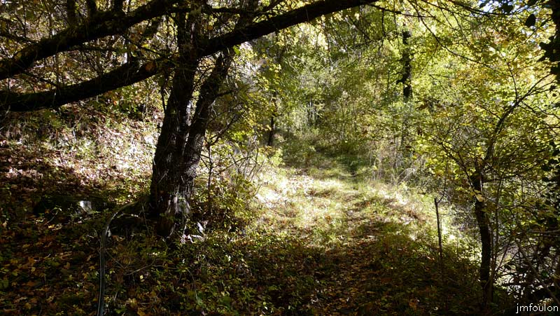 clamensane-vx-05web.jpg - Un vieux sentier muletier permet de rejoindre le village depuis le Ravin de Vermeil. Nous allons l'empreinter !