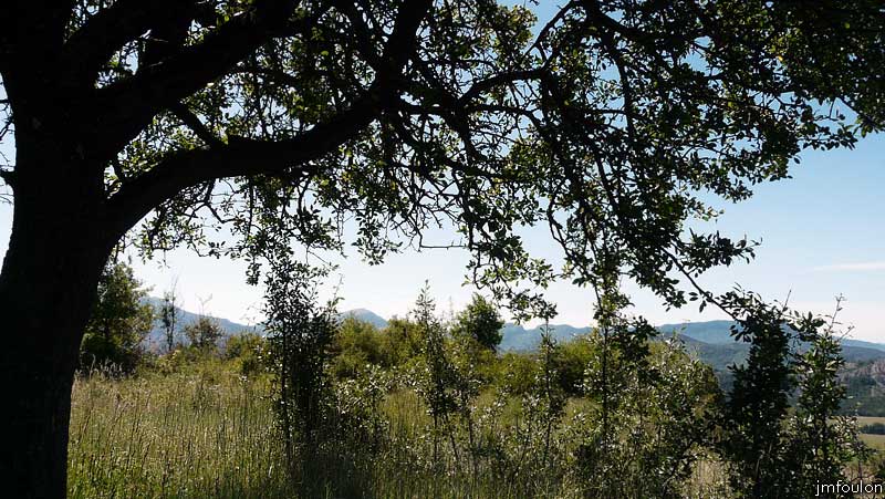 tour-melve-44web.jpg - Vue vers le Sud assis à l'ombre d'un poirier sauvage sur le plateau à quelques dizaines de mètres à l'Est de la Tour