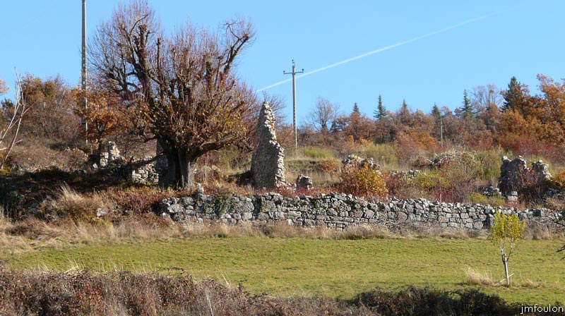 valavoire-74web.jpg - Ruines à la Bourasse