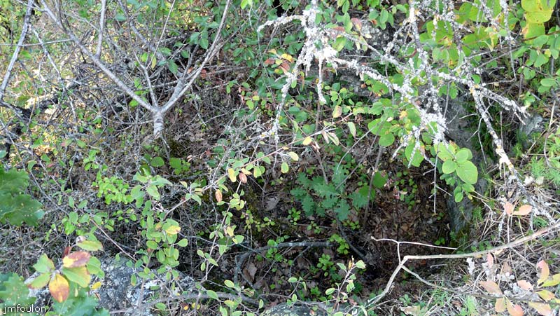vaumeilh-chateau-11web.jpg - A une dizaine de mètres à l'Est de la Tour se trouve dans les fourrés, une construction de pierre cylindrique. Peut-être un puit ?