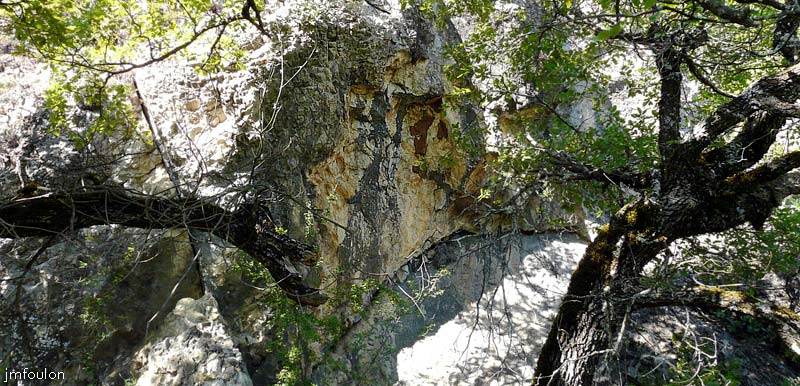 la-batie-48web.jpg - Nous voici au pied du piton rocheux. De curieuses tâches brunes sur la pierre au centre m'ont intriguées