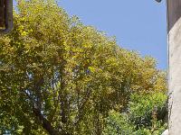Manosque - Vieille ville  Ruelle des jardins