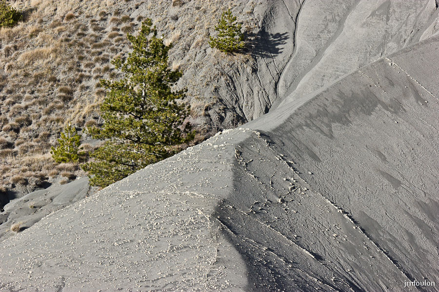 marnes-006-2.jpg - Sur la Crête des Plantayes essentiellement constituée de marnes ...