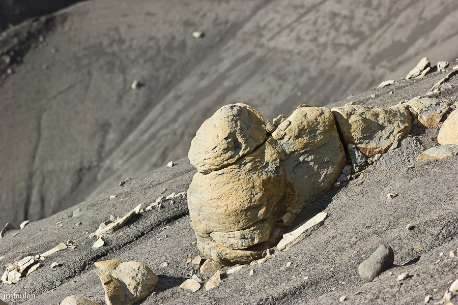 marnes-008-2.jpg - Dans ces marnes se trouvent des pierres plus dures qui s'érodent donc moins vite et émergent comme autant de formes qui laissent place à l'imagination.