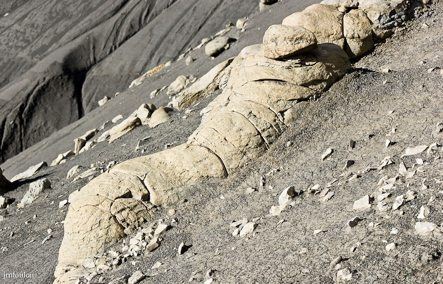 marnes-014-2.jpg - Sur la Crête des Plantayes - Une momie !