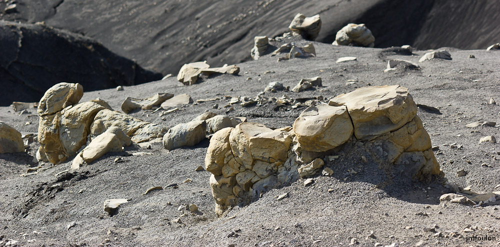 marnes-016-2.jpg - Sur la Crête des Plantayes - A gauche, je vois un phoque ! ...