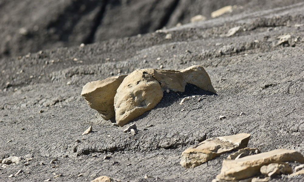 marnes-017-2.jpg - Aterrissage forcé pour cet oiseau de pierre ! ...