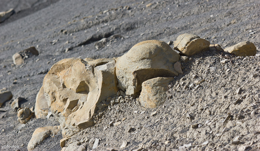 marnes-022-2.jpg - Au centre, une tête la bouche ouverte ! ...
