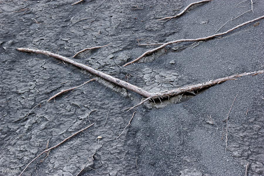 marnes-052-2.jpg - Sur la Crête des Plantayes - Racines ...