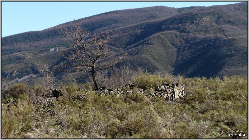 paresous-15web.jpg - Ces endroits sont aujourd'hui des landes à genêts. Derrière la crête de Chapage (997m)