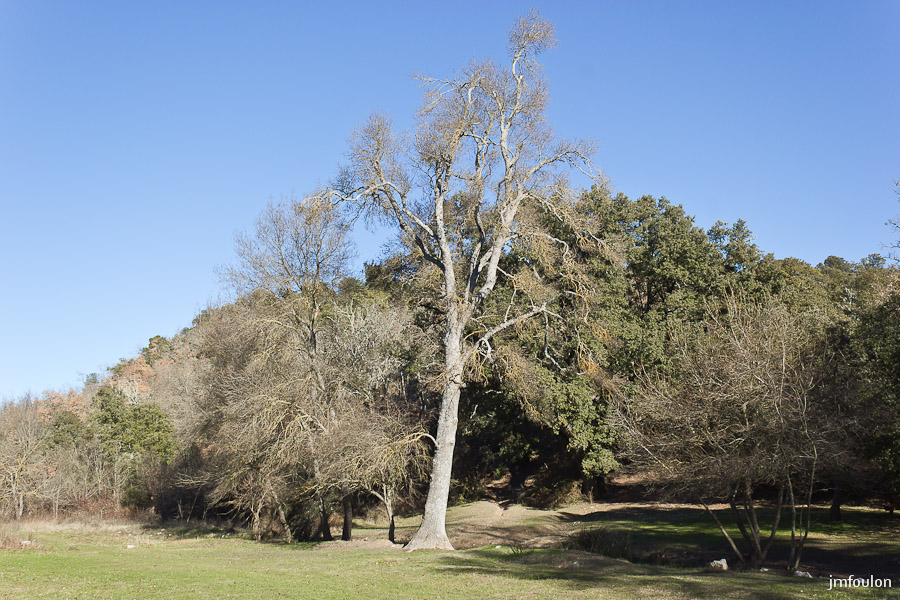 paysages-cereste-07-2.jpg - Paysage aux abords du Prieuré de Carluc