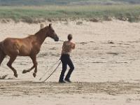 Crozon - Plage de Goulien  Plage de Goulien - Cavalière et son cheval