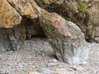 Crozon - Plage de Goulien  Grottes à l'Ouest de la plage de Goulien