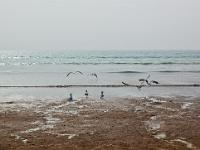 Crozon - Plage de Goulien  Plage de Goulien