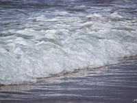 Crozon - Plage de la Palue  Vague s'échouant sur la plage