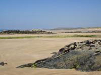 Crozon - Plage de la Palue  Vue vers le Sud