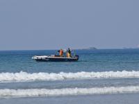 Crozon - Plage de la Palue  Des visiteurs ! ...