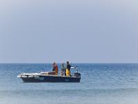 Crozon - Plage de la Palue  Des visiteurs ! ...