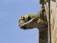 Pont-Croix  Notre-Dame de Roscudon (XIIème siècle) -  Gargouille