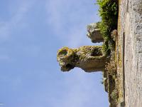 Pont-Croix  Notre-Dame de Roscudon (XIIème siècle) -  Gargouille