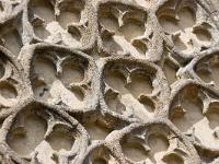 Pont-Croix  Notre-Dame de Roscudon (XIIème siècle) - Détail de la dentelle du porche (XIVème)