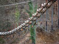 Pont de Fombeton  Comme on peut le voir, les tiges reliant le tablier aux cables sont en partie découpées