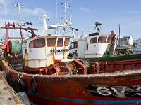 Port de pêche du Guilvinec  Bateaux de pêche à quai