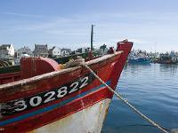 Port de pêche du Guilvinec  Proue