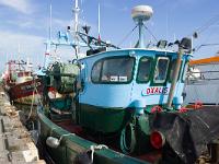 Port de pêche du Guilvinec  L'Oxalis à quai
