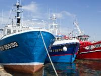 Port de pêche du Guilvinec  Bateaux à quai