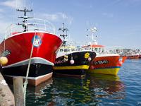 Port de pêche du Guilvinec  Bateaux à quai