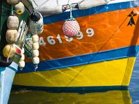 Port de pêche du Guilvinec  Couleurs et reflets ! ...