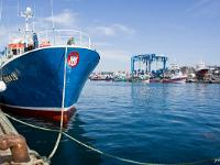 Port de pêche du Guilvinec  Autre vue sur le port